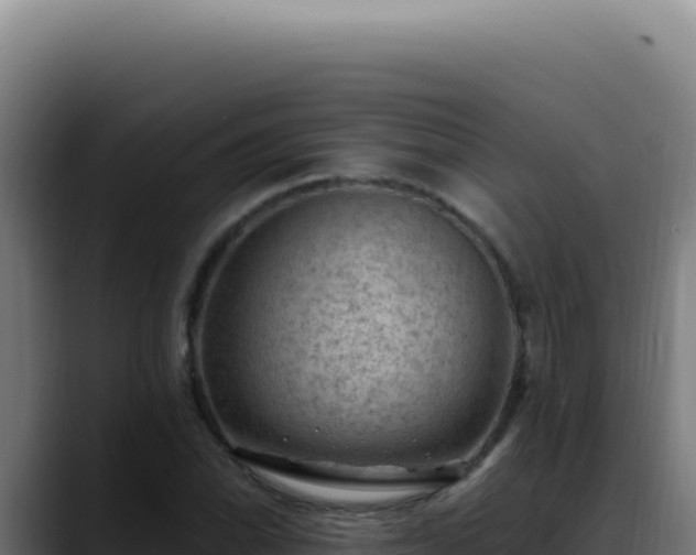 X0000088411070200705291444