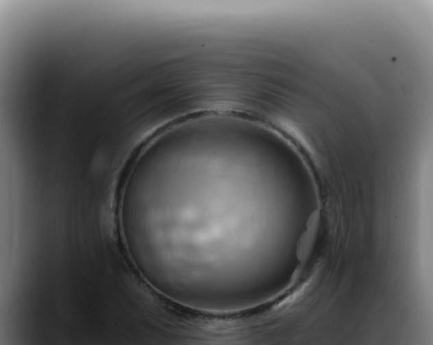 X0000088411071200705291444