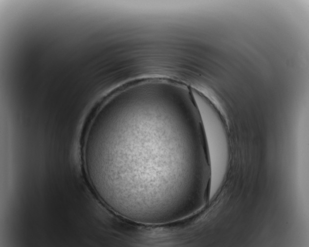 X0000088411072200705291444