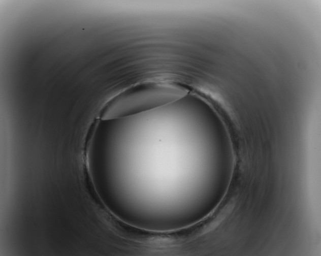 X0000088411073200705291444