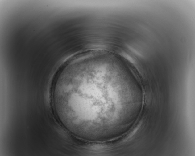 X0000088411074200705291444