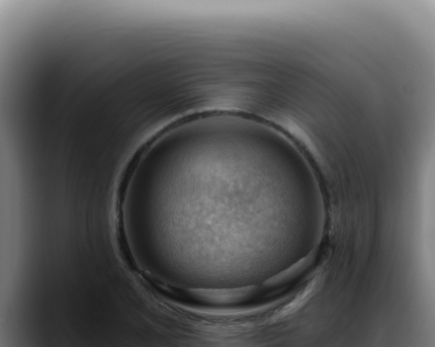 X0000088411077200705291444