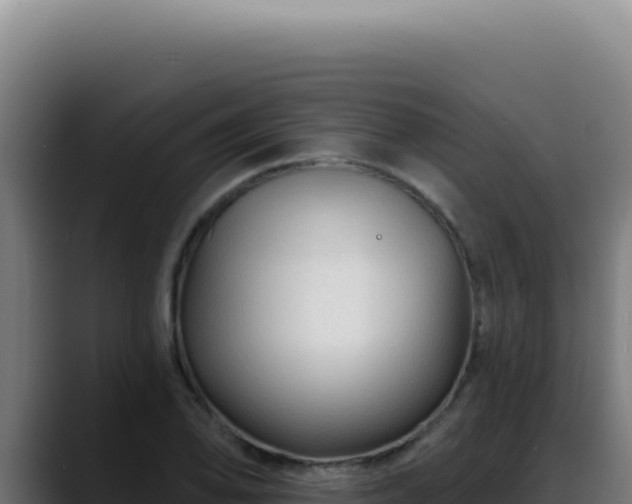 X0000088411078200705291444