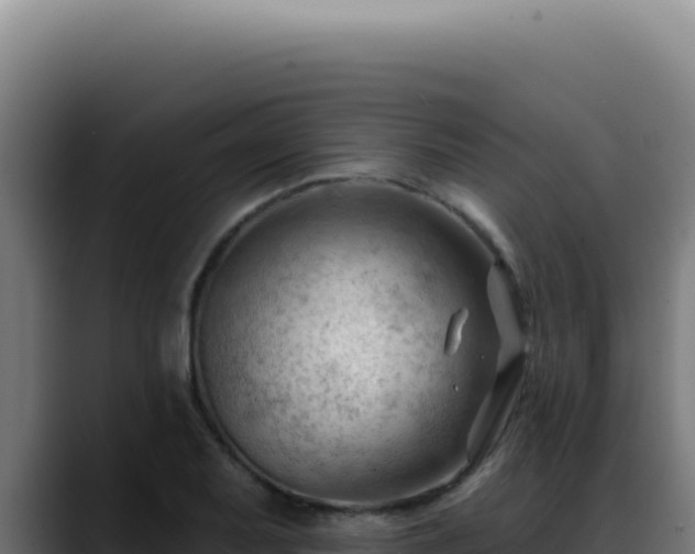 X0000088411079200705291444