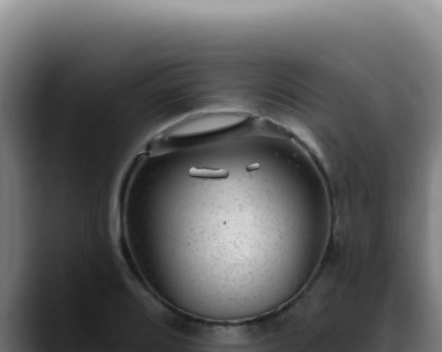 X0000088411080200705291444