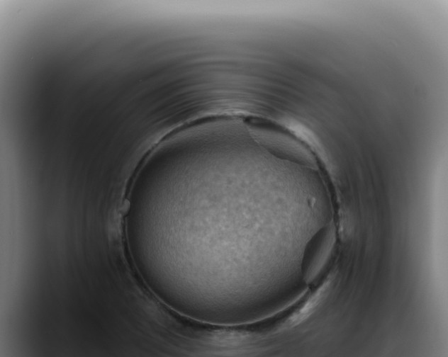 X0000088411081200705291444
