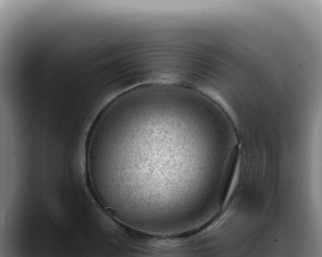 X0000088411083200705291444
