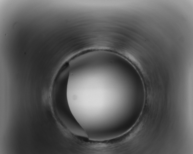 X0000088411085200705291444