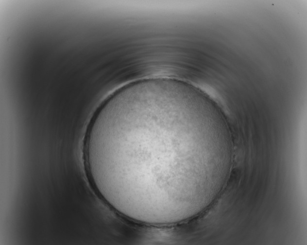 X0000088411086200705291444
