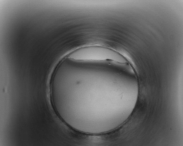 X0000088411088200705291444