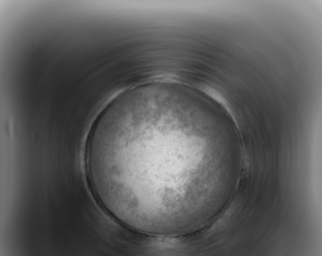 X0000088411090200705291444