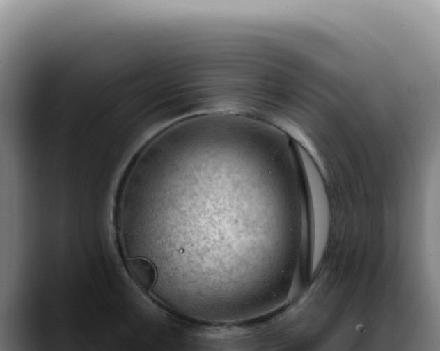 X0000088411091200705291444