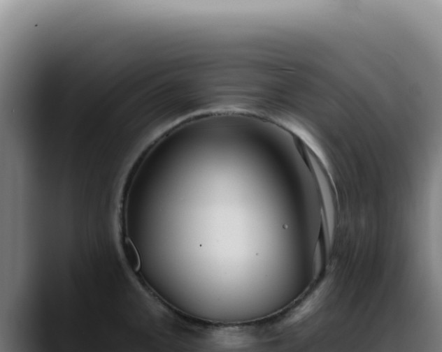X0000088411093200705291444