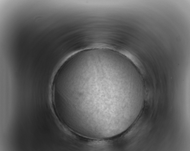 X0000088411094200705291444
