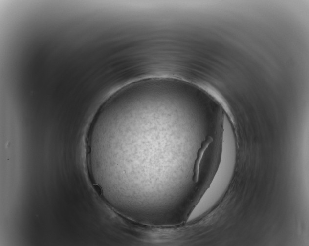 X0000088411096200705291444