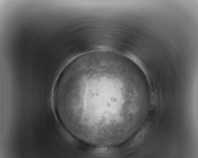 X0000088411098200705291444