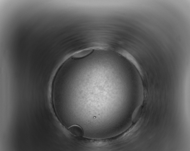X0000088411099200705291444
