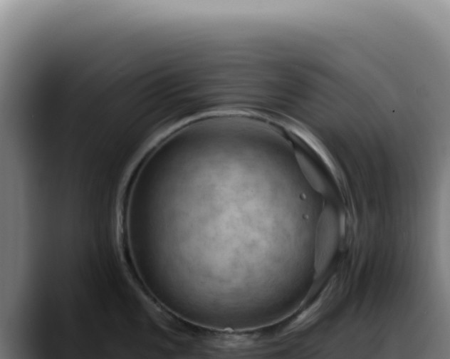 X0000088411101200705291444