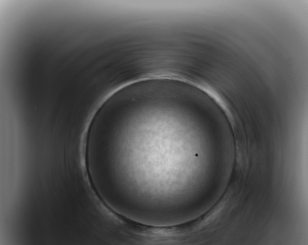 X0000088411102200705291444