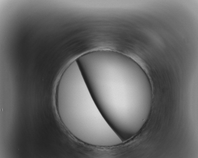 X0000088411104200705291444