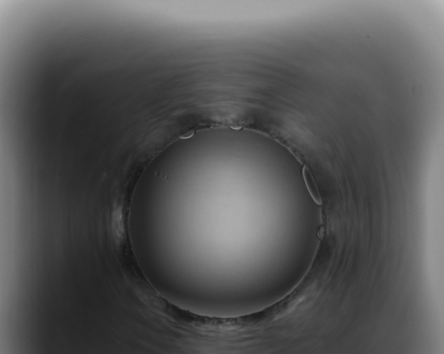 X0000088411106200705291443