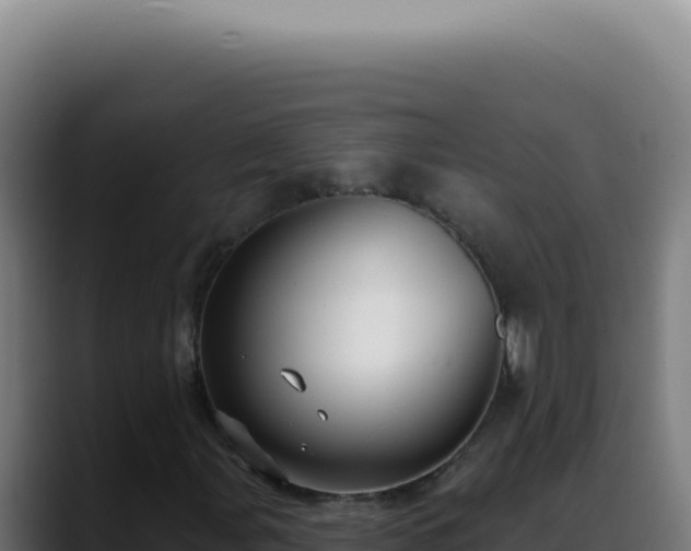 X0000088411107200705291443