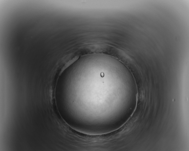 X0000088411108200705291443