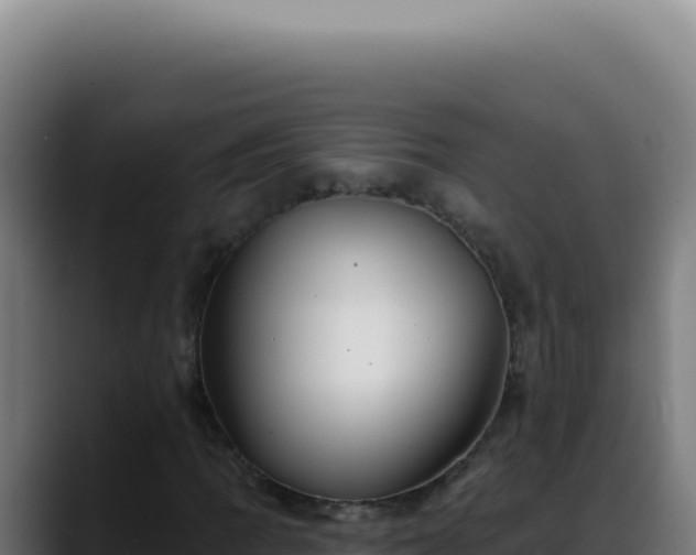 X0000088411109200705291443