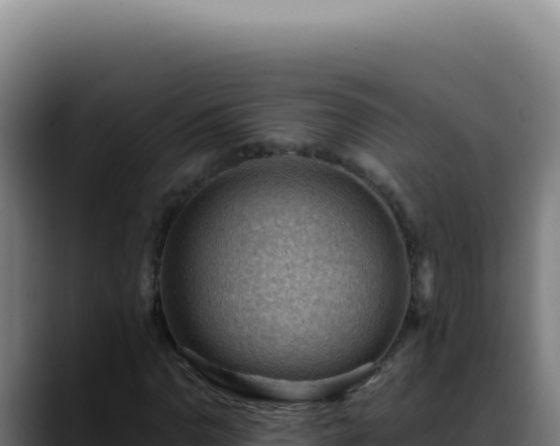 X0000088411110200705291443