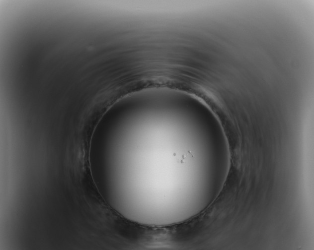 X0000088411111200705291443