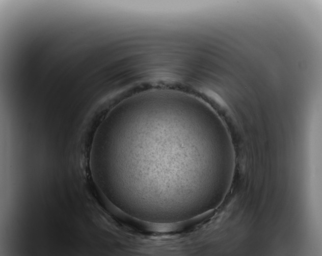 X0000088411112200705291443