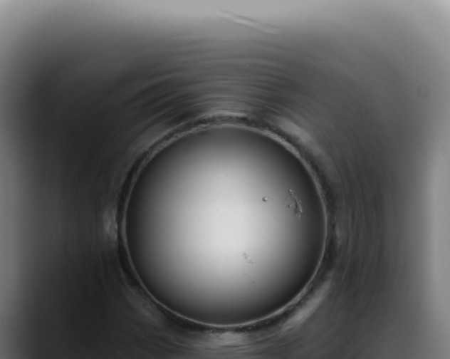 X0000088411113200705291443