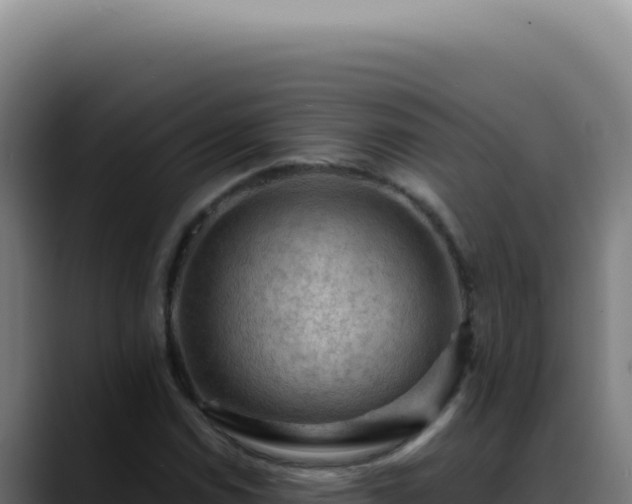 X0000088411114200705291443