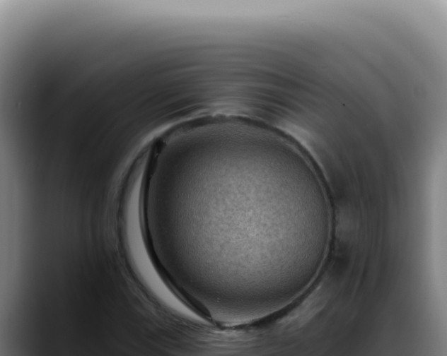 X0000088411115200705291444