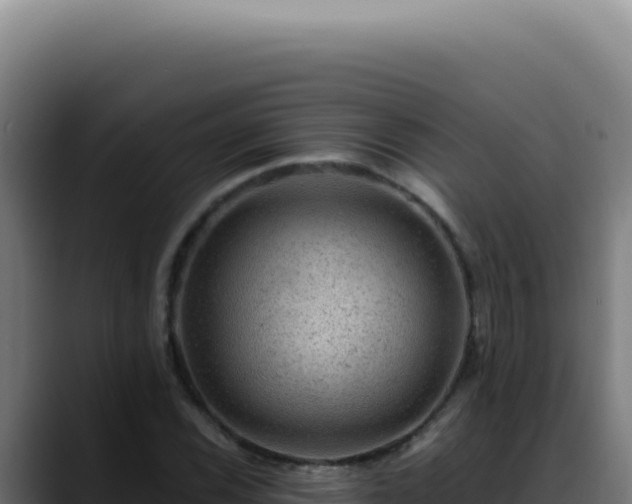 X0000088411116200705291444