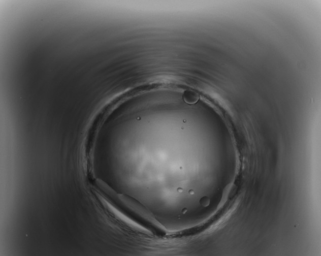 X0000088411117200705291444