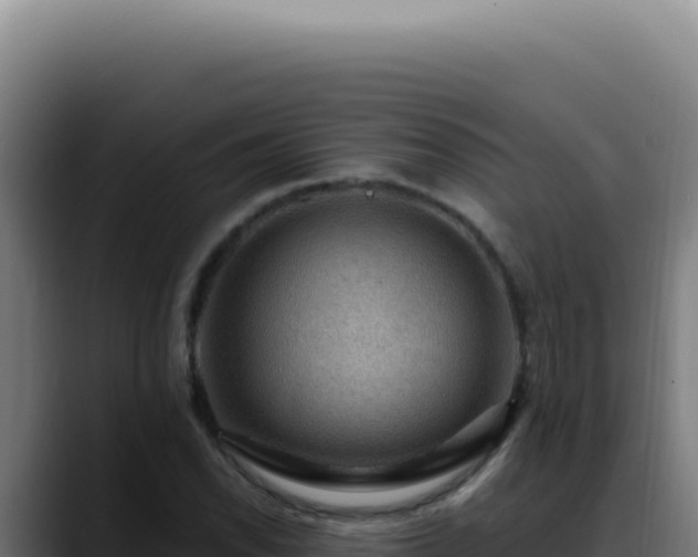 X0000088411118200705291444