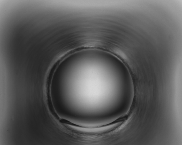 X0000088411122200705291444