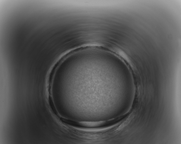 X0000088411124200705291444