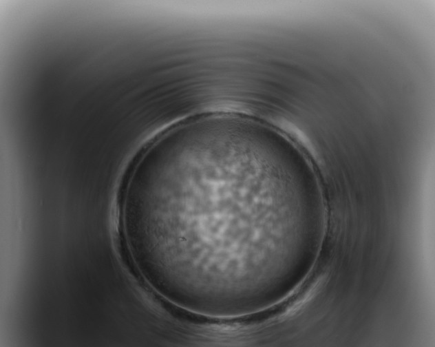 X0000088411125200705291444