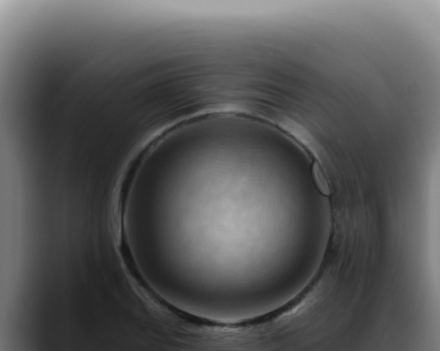 X0000088411127200705291444