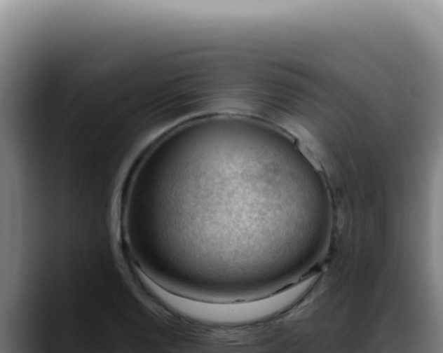 X0000088411128200705291444