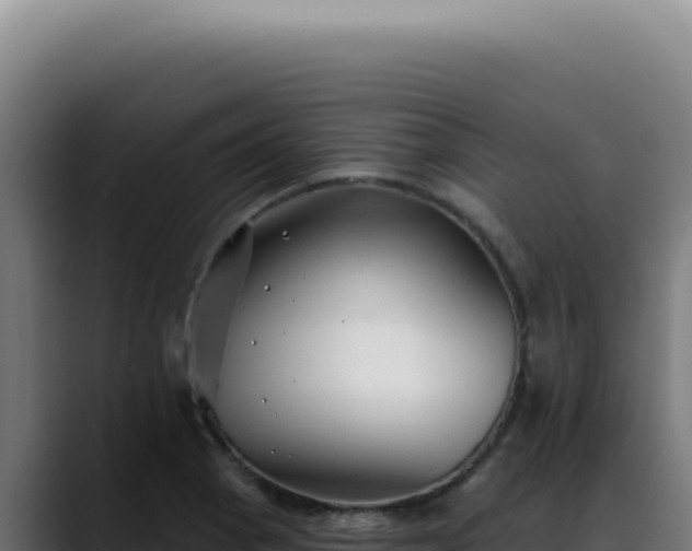 X0000088411129200705291444