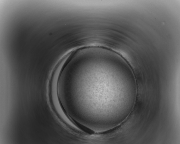 X0000088411134200705291444
