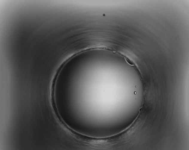 X0000088411135200705291444