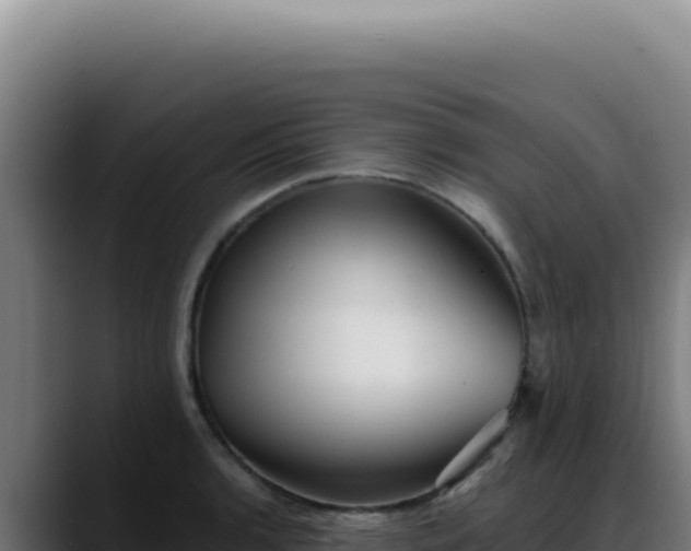 X0000088411136200705291444