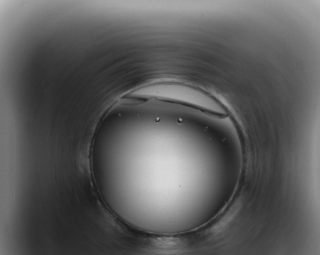 X0000088411137200705291444