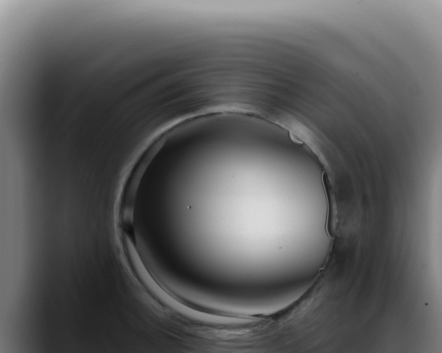 X0000088411140200705291444