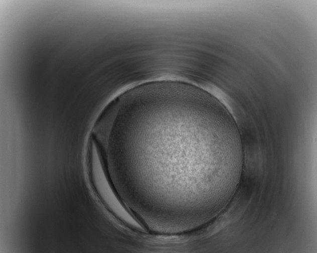 X0000088411142200705291444