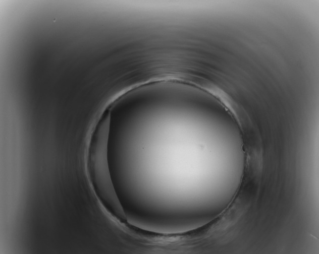 X0000088411143200705291444